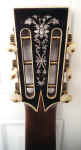 harwood_6-string3-David_Jorgensen.jpg (45181 bytes)