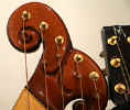 https://www.harpguitars.net/luthiers/hgs/mchg1_head-t.jpg
