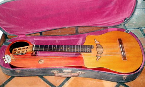 If This Harp Guitar Could Talk…