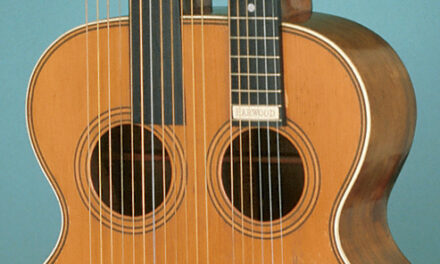 Everything You Always Wanted To Know About Harwood Harp Guitars But Were Afraid To Ask