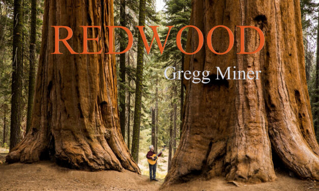 Redwood